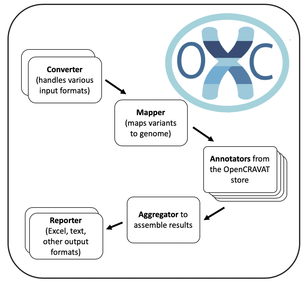 OpenCRAVAT schematic